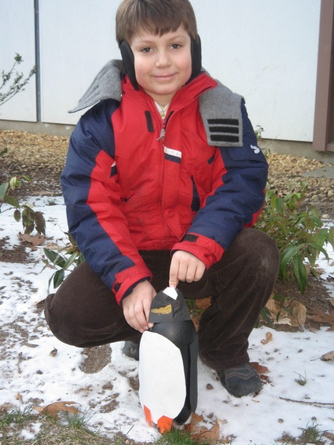 The Gentoo penguin lives on the